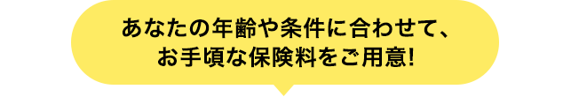 あなたの年齢や条件に合わせて、お手頃な保険料をご用意！