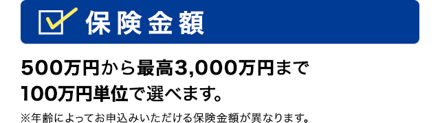 保険金額