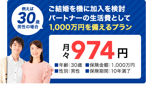 30歳男性の場合