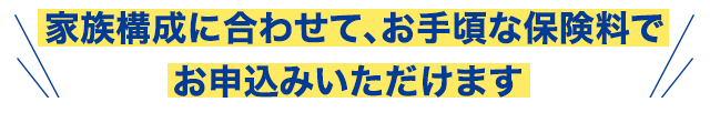 家族構成に合わせて、お手頃な保険料でお申し込みいただけます