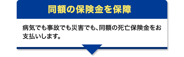 同額の保険金を保障