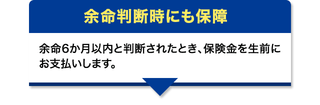 余命判断時にも保障