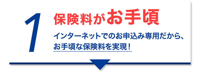 理由1 保険料がお手頃