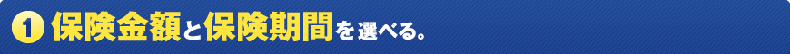 (1) 保険金額と保険期間を選べる