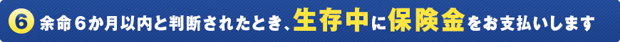 (6) 余命6か月以内と判断されたとき、生存中に保険金をお支払いします