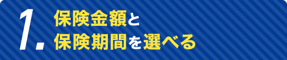 1.保険金額と保険期間を自由に設計できる