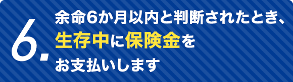 6.余命6か月以内と判断されたとき、生存中に保険金をお支払いします