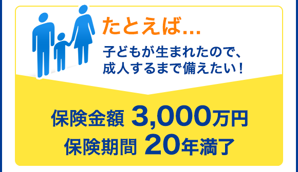 たとえば...子どもが生まれたので、成人するまで備えたい！保険金額 3,000万円／保険期間 20年満了