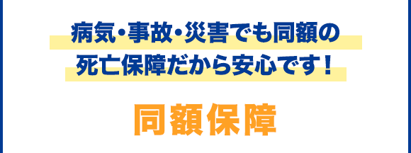 病気・事故・災害でも同額の死亡保障だから安心です！同額保障