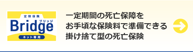 ブリッジ　一定期間の死亡保障をお手頃な保険料で準備できる掛け捨て型の死亡保険