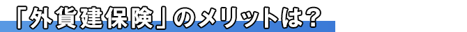 「外貨建保険」のメリットは？