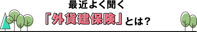 最近よく聞く「外貨建保険」とは？