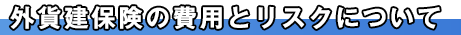 外貨建保険の費用とリスクについて