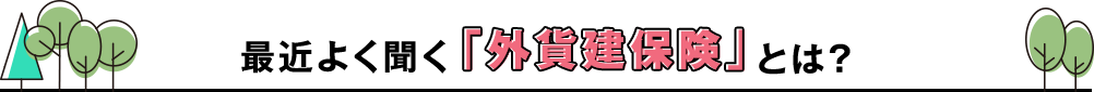 最近よく聞く「外貨建保険」とは？