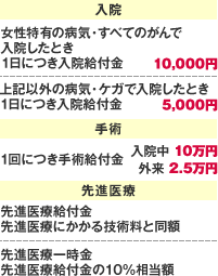 入院 女性特有の病気・すべてにがんで入院したとき1日につき入院給付金 10,000円 上記以外の病気・ケガで入院したとき1日につき入院給付金 5,000円 手術 1回につき手術給付金 入院中 10万円 外来 2.5万円 先進医療 先進医療給付金 先進医療にかかる技術料と同額 先進医療一時金 先進医療給付金の10％相当額