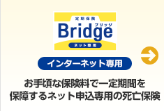 ブリッジ