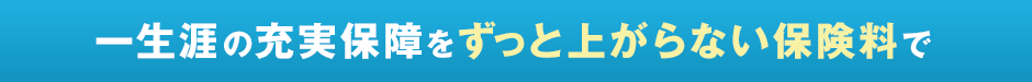 一生涯の充実保障をずっと上がらない保険料で
