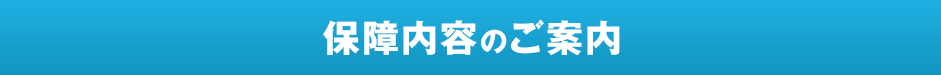 保障内容のご案内