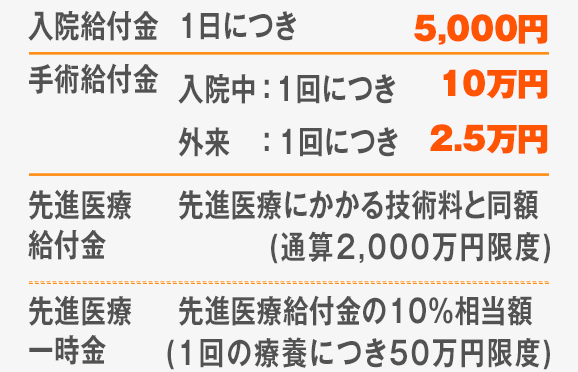 入院給付金：1日につき5,000円／手術給付金：入院中1回につき10万円／外来1回につき2.5万円／先進医療給付金：通算限度額2,000万円