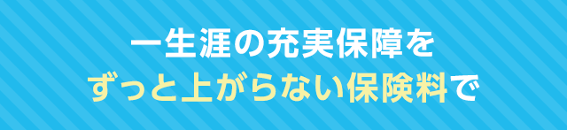 一生涯の充実保障をずっと上がらない保険料で