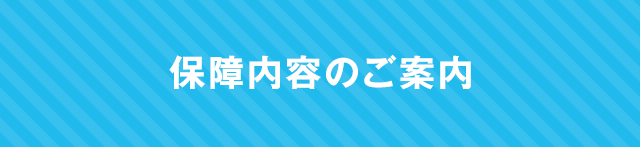 保障内容のご案内