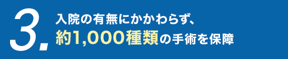 3.入院の有無にかかわらず、約1,000種類の手術を保障