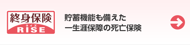 死亡保険 終身保険RISE