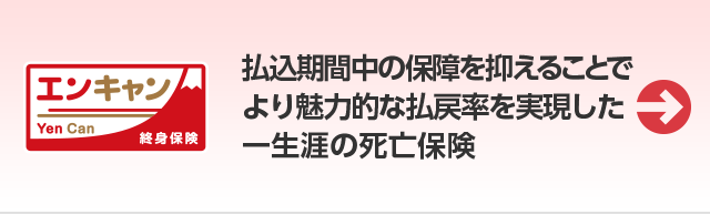 死亡保険（エンキャン）
