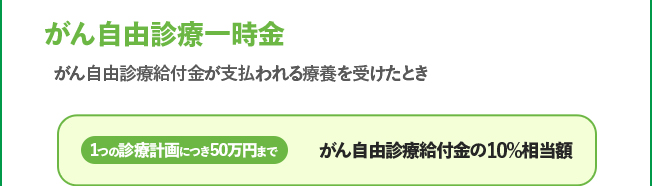 がん自由診療一時金 1つの診療計画につき50万円まで がん自由診療給付金の10%相当額