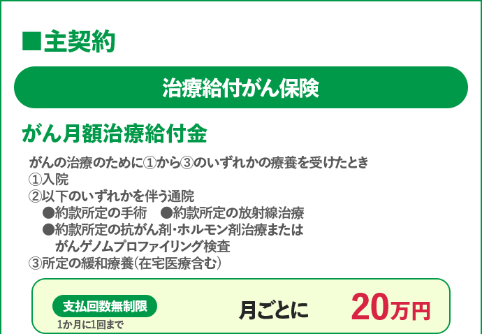 治療給付がん保険 がん月額治療給付金 ①入院、②約款所定の手術、放射線治療、抗がん剤・ホルモン剤治療またはがんゲノムプロファイリング検査を伴う通院③所定の緩和療養で支払回数無制限の月ごとに20万円