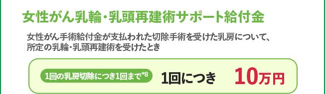 女性がん乳輪・乳頭再建術サポート給付金 1回の乳房切除につきまして1回まで＊8 1回につき 10万円
