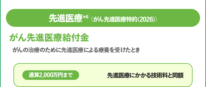 先進医療＊6 がん先進医療給付金 通算2000万円まで先進医療にかかる技術料と同額