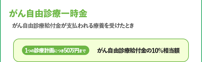 がん自由診療一時金 1つの診療計画につき50万円まで がん自由診療給付金の10%相当額