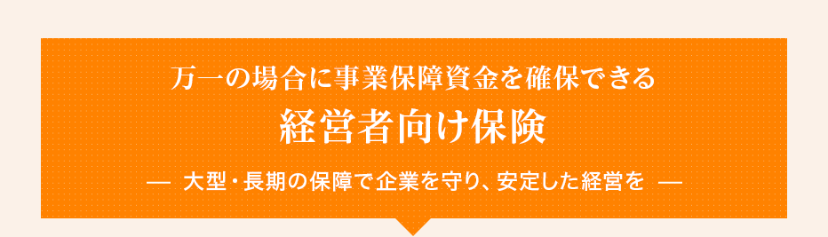 万一の場合に事業保障資金を確保できる経営者向け保険大型・長期の保障で企業を守り、安定した経営を