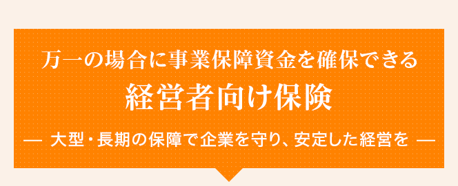 万一の場合に事業保障資金を確保できる経営者向け保険大型・長期の保障で企業を守り、安定した経営を