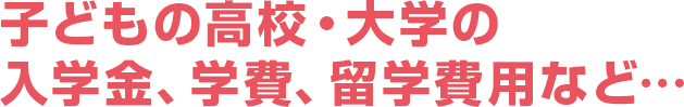 高校・大学の入学金、学費、留学費用など…