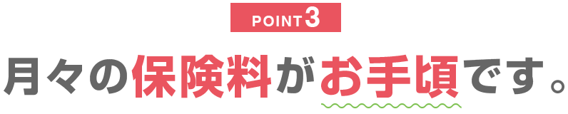 POINT3 月々の保険料がお手頃です。