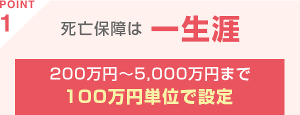 POINT1 死亡保障は一生涯 200万円～5,000万円まで100万円単位で設定