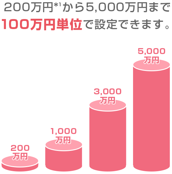 200万円から500万円まで100万円単位で設定できます。