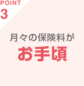 POINT3 月々の保険料がお手頃