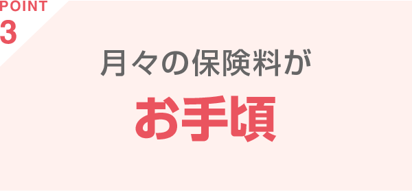 POINT3 月々の保険料がお手頃