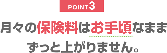 月々の保険料はお手頃なままずっと上がりません。