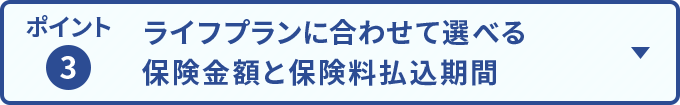 ポイント3 ライフプランに合わせて選べる保険金額と保険料払込期間