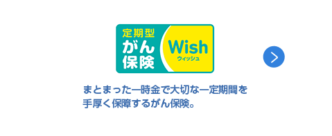 ウィッシュ