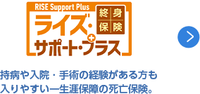 ライズサポートプラス