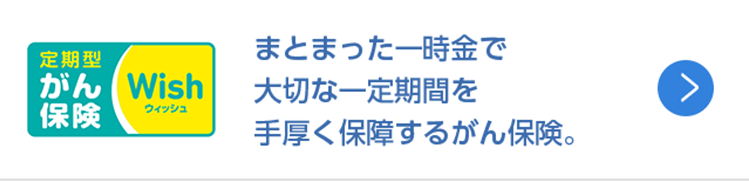 ウィッシュ