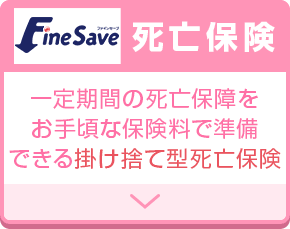 ファインセーブ 死亡保険 一定期間の死亡保障を お手頃な保険料で準備 できる掛け捨て型死亡保険