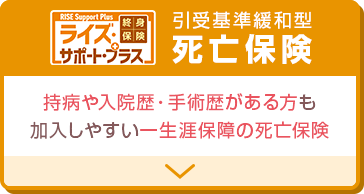 ライズ・サポート・プラス 引受基準緩和型 死亡保険 持病や入院歴・手術歴がある方が加入しやすい 一生涯保障死亡保険