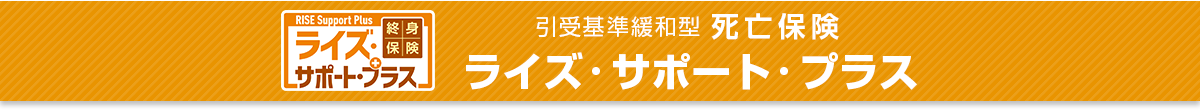 引受基準緩和型死亡保険ライズサポートプラス