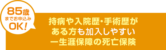 持病や入院歴・手術歴がある方も加入しやすい一生涯保障の死亡保険